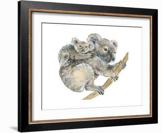 Koala (Phascolarctos Cinereus), Marsupial, Mammals-Encyclopaedia Britannica-Framed Art Print