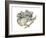 Koala (Phascolarctos Cinereus), Marsupial, Mammals-Encyclopaedia Britannica-Framed Art Print