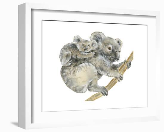 Koala (Phascolarctos Cinereus), Marsupial, Mammals-Encyclopaedia Britannica-Framed Art Print