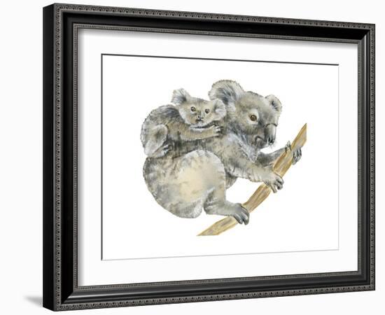 Koala (Phascolarctos Cinereus), Marsupial, Mammals-Encyclopaedia Britannica-Framed Art Print