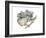 Koala (Phascolarctos Cinereus), Marsupial, Mammals-Encyclopaedia Britannica-Framed Art Print