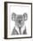 Koala Portrait-Lucy Francis-Framed Giclee Print