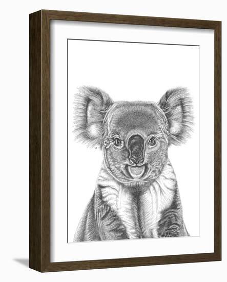 Koala Portrait-Lucy Francis-Framed Giclee Print