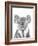 Koala Portrait-Lucy Francis-Framed Giclee Print