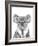 Koala Portrait-Lucy Francis-Framed Giclee Print