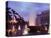 Stretched Canvas Print