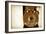 Kodak Boy Scout Lens-Jessica Rogers-Framed Giclee Print