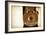 Kodak Boy Scout Lens-Jessica Rogers-Framed Giclee Print