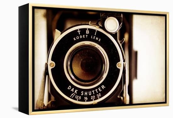 Kodet Lens-Jessica Rogers-Framed Premier Image Canvas