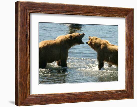 Kodiak Bear Alaska Conversation-Charles Glover-Framed Giclee Print