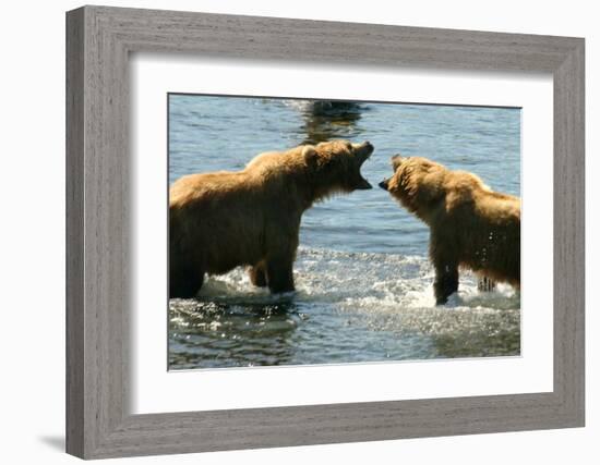 Kodiak Bear Alaska Conversation-Charles Glover-Framed Giclee Print