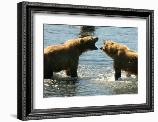 Kodiak Bear Alaska Conversation-Charles Glover-Framed Giclee Print