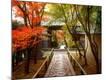 Photographic Print