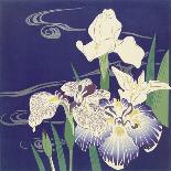 Irises, C. 1890-1900-Kogyo Tsukioka-Premium Giclee Print