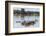 Koh Trong Island. Floating Vietnamese fishing village across the Mekong River from Kratie, Cambodia-Yvette Cardozo-Framed Photographic Print