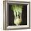 Kohl Rabi, 2012-Lincoln Seligman-Framed Giclee Print