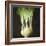 Kohl Rabi, 2012-Lincoln Seligman-Framed Giclee Print