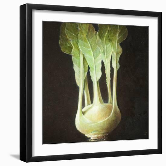 Kohl Rabi, 2012-Lincoln Seligman-Framed Giclee Print