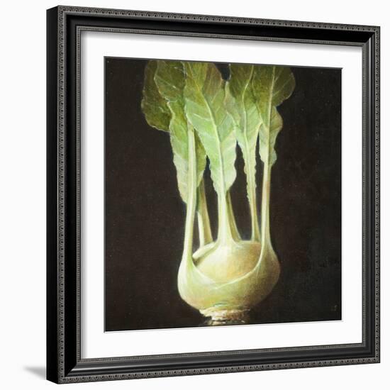 Kohl Rabi, 2012-Lincoln Seligman-Framed Giclee Print