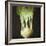 Kohl Rabi, 2012-Lincoln Seligman-Framed Giclee Print