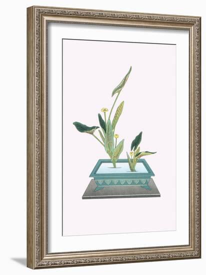 Kohone (Water Lily) In a Sunabachi-Josiah Conder-Framed Art Print