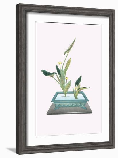 Kohone (Water Lily) In a Sunabachi-Josiah Conder-Framed Art Print