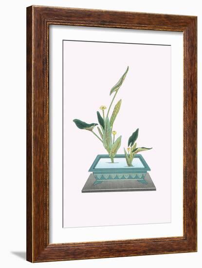 Kohone (Water Lily) In a Sunabachi-Josiah Conder-Framed Art Print