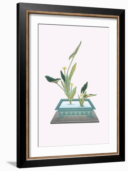 Kohone (Water Lily) In a Sunabachi-Josiah Conder-Framed Art Print