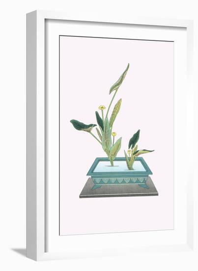 Kohone (Water Lily) In a Sunabachi-Josiah Conder-Framed Art Print