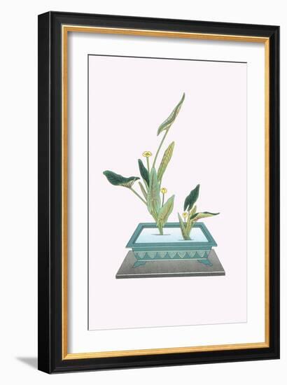 Kohone (Water Lily) In a Sunabachi-Josiah Conder-Framed Art Print