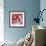 Koi and Cherry Blossoms-Natasha Wescoat-Framed Giclee Print displayed on a wall