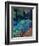 Koi and Hostas-Marco Cazzulini-Framed Giclee Print