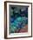 Koi and Hostas-Marco Cazzulini-Framed Giclee Print