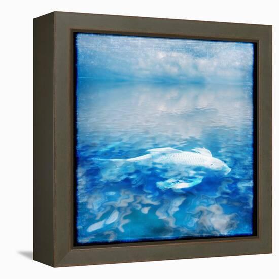 Koi and Water Reflections-Colin Anderson-Framed Premier Image Canvas