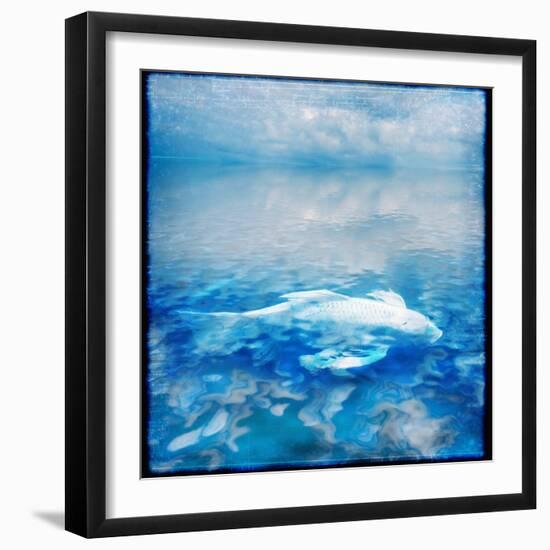 Koi and Water Reflections-Colin Anderson-Framed Photographic Print