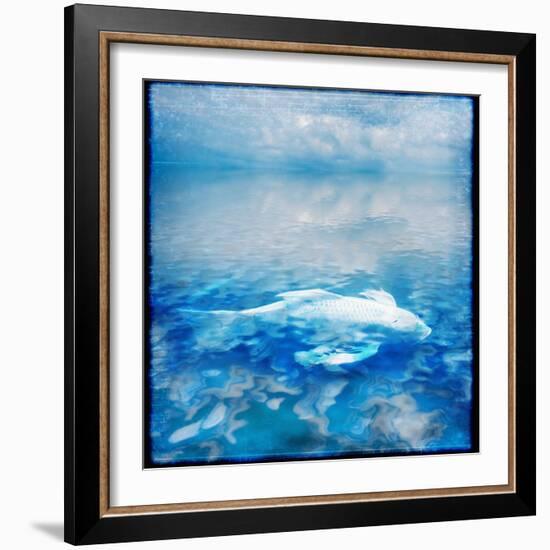 Koi and Water Reflections-Colin Anderson-Framed Photographic Print