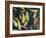 Koi Carp Fish in Pool, Taipei, Taiwan, Asia-Sylvain Grandadam-Framed Photographic Print