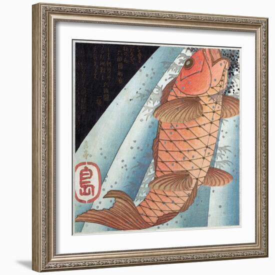 Koi Carp; Pub. C. 1820 (Colour Woodblock Print)-Japanese School-Framed Giclee Print