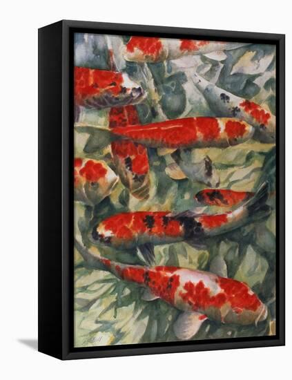 Koi Carp-Gareth Lloyd Ball-Framed Premier Image Canvas