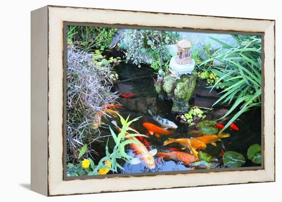 Koi Fish Garden-photojohn830-Framed Premier Image Canvas