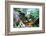 Koi Fish Garden-photojohn830-Framed Photographic Print