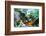 Koi Fish Garden-photojohn830-Framed Photographic Print