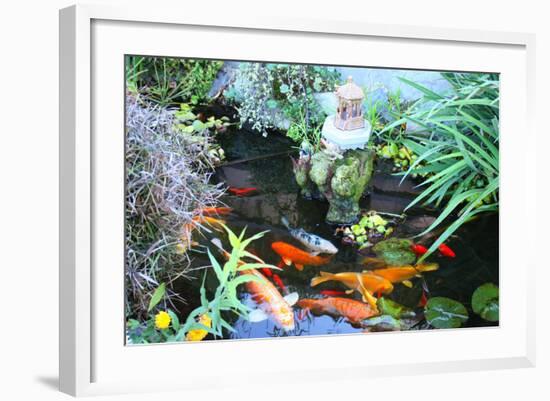 Koi Fish Garden-photojohn830-Framed Photographic Print