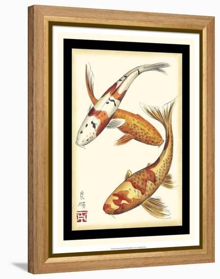 Koi Fish I-Chariklia Zarris-Framed Stretched Canvas