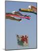 Koi Nobori, Otako Age Giant Kite Flying Festival, Sagamihara, Kanagawa Prefecture, Japan-Christian Kober-Mounted Photographic Print