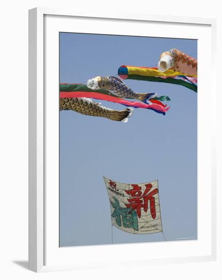 Koi Nobori, Otako Age Giant Kite Flying Festival, Sagamihara, Kanagawa Prefecture, Japan-Christian Kober-Framed Photographic Print