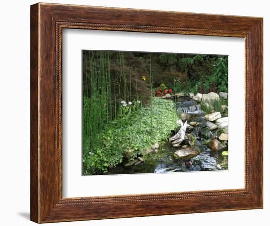 Koi Paradise-Herb Dickinson-Framed Photographic Print