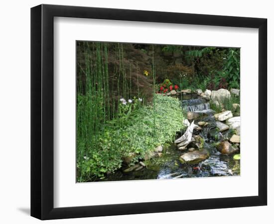 Koi Paradise-Herb Dickinson-Framed Photographic Print