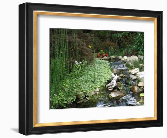 Koi Paradise-Herb Dickinson-Framed Photographic Print