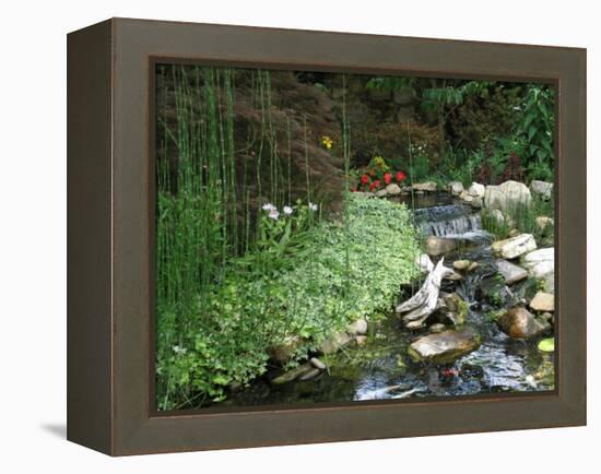 Koi Paradise-Herb Dickinson-Framed Premier Image Canvas